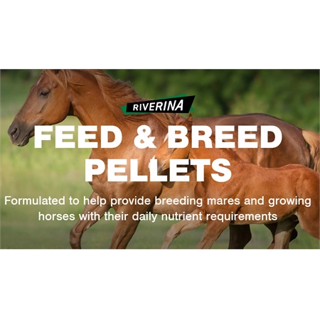 RIVERINA FEED & BREED HORSE FEED 20KG HOR15B