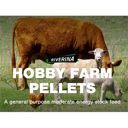 RIVERINA HOBBY FARM PELLETS 20KG GEN28B