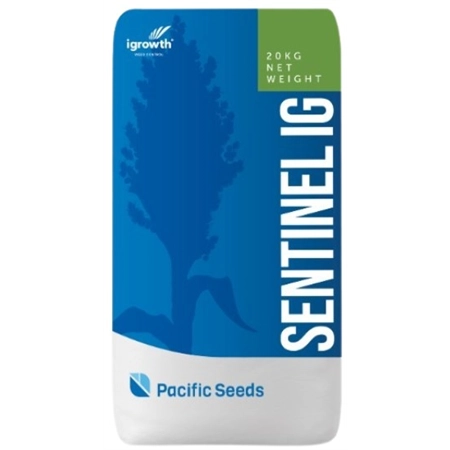 SENTINEL IG ELITE SORGHUM 20KG BAG (AGENCY) ADVANTA 162060623