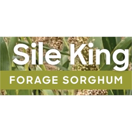 SHIELD XTRA SILE KING FORAGE SORGHUM 20KG BAG EPG SEEDS 4194164