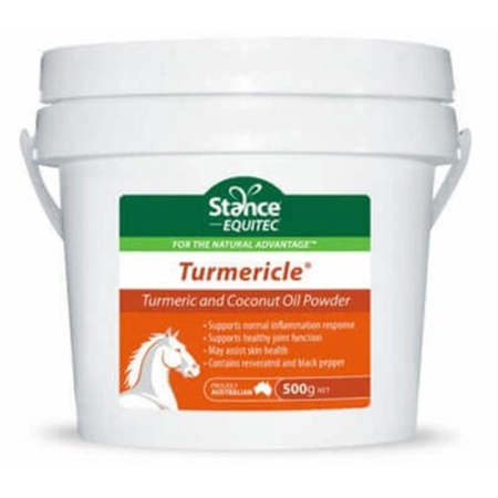 STANCE EQUITEC TURMERICLE 500GM TURMERIC & COCONUT OIL POWDER