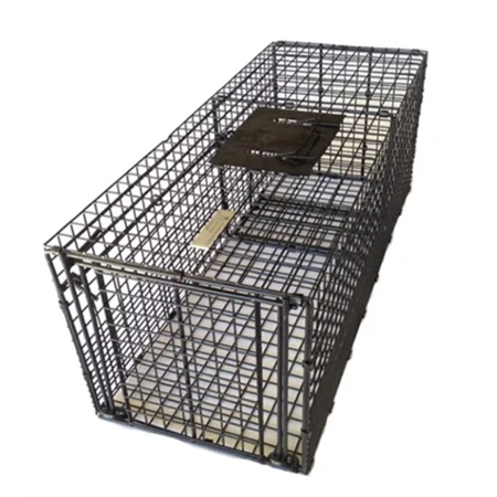 TRAP LARGE CAGE ANIMAL TRAP BAINBRIDGE A3228