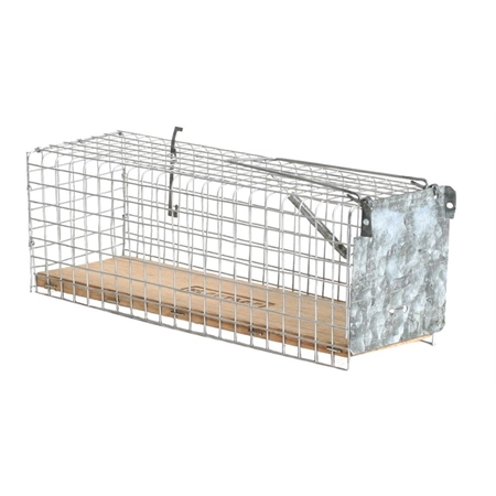TRAP RODENT CAGE TRAP FOR RATS 280MM X 80MM X 80MM SHOOF 211227