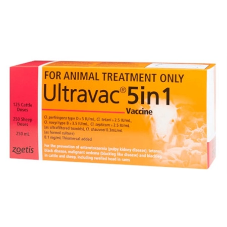 VACCINE - ULTRAVAC 5 IN 1 100ML  - 50 HEAD -  ZOETIS 100201850