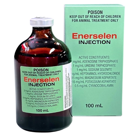 VITAMIN AUSICHTER ENERSELEN INJECTION 100ML 13918